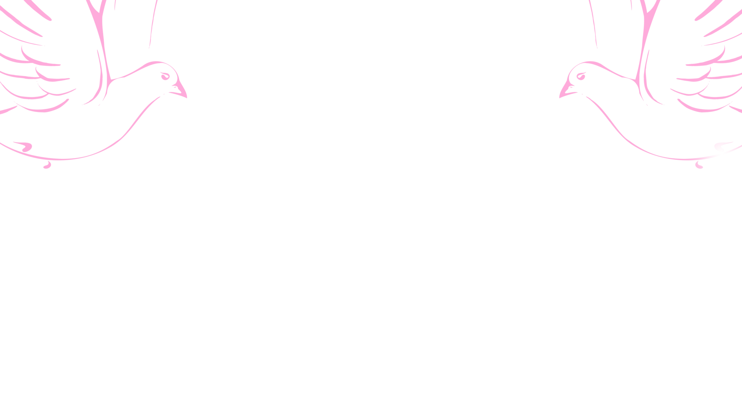 oiseau